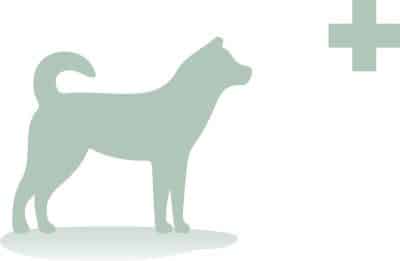 Inikua_Krankenschutz_Hunde