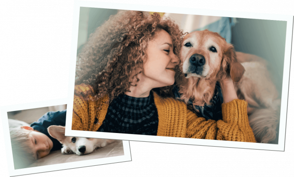 Inikua_Gesundheit_Hund1_NEU