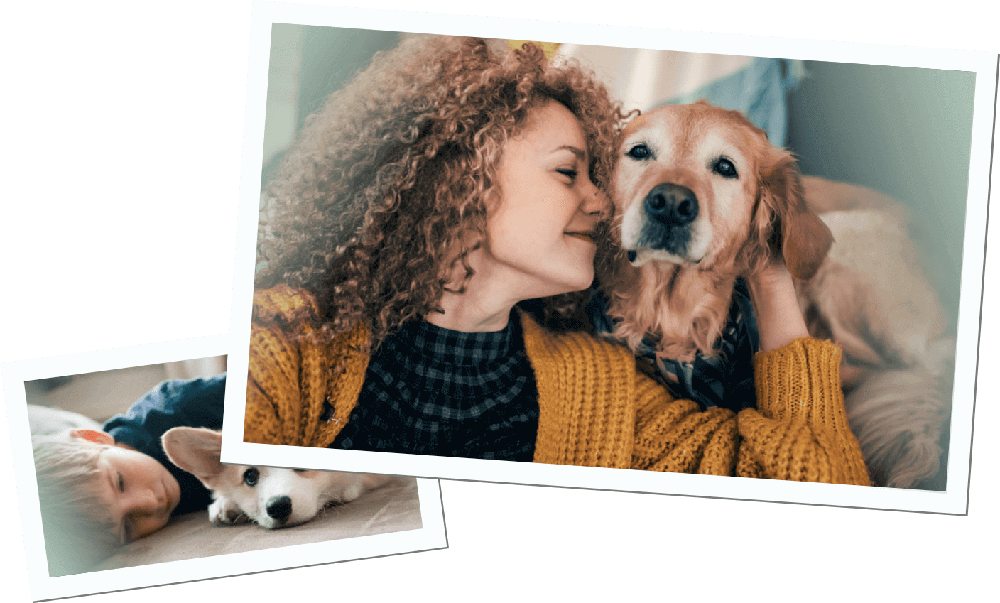 Gesundheitstipps für Hunde