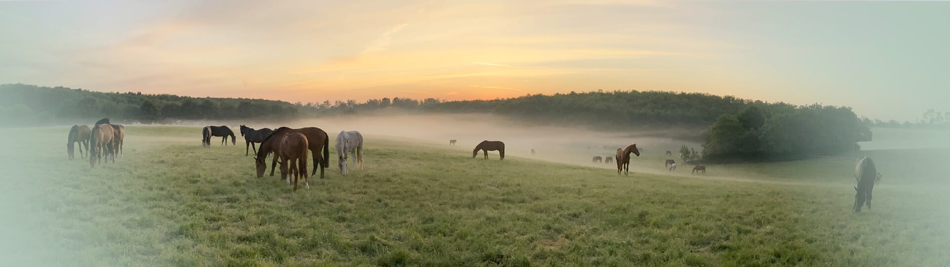 Inikua_Header_Ratgeber