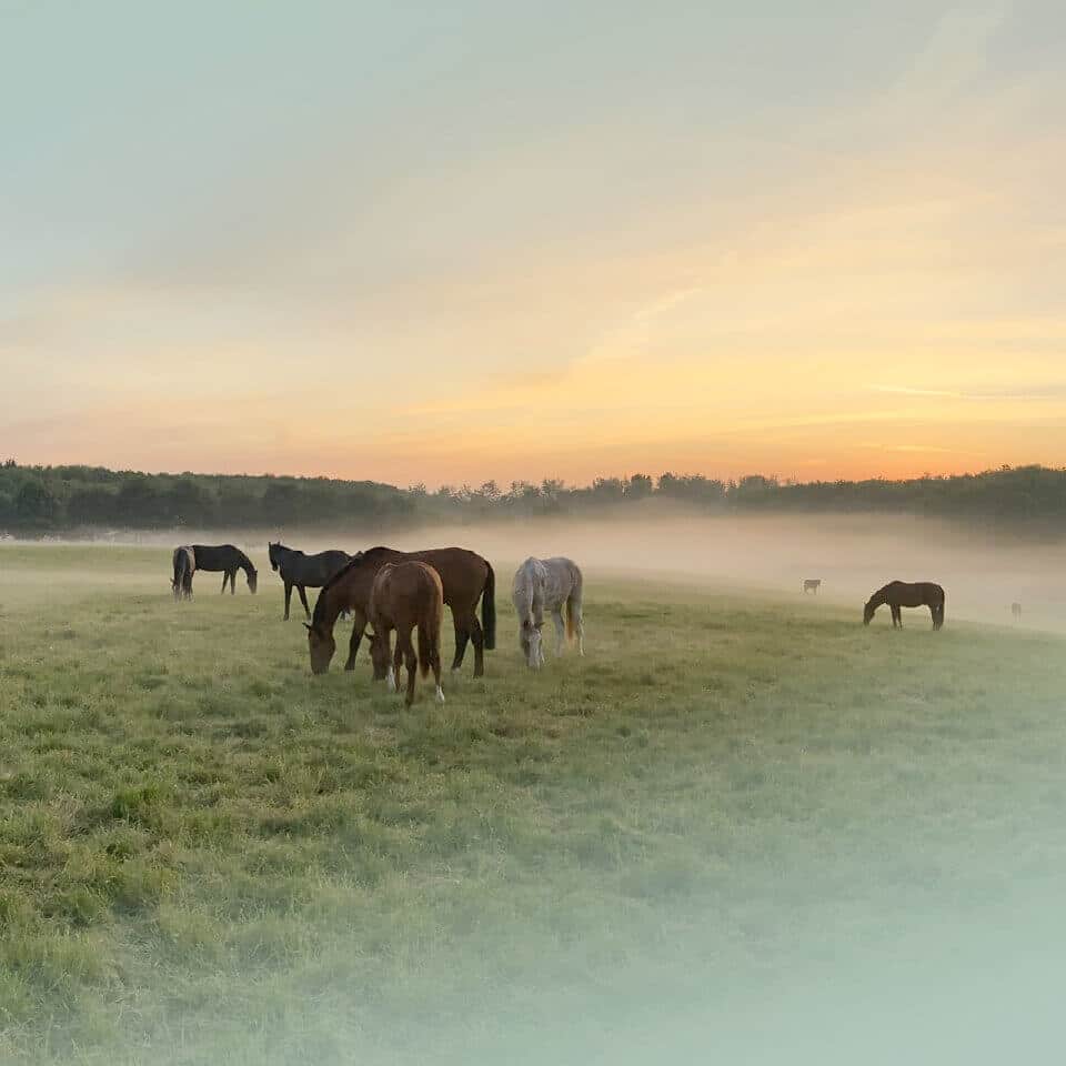 Inikua_Header_Ratgeber_Tablet