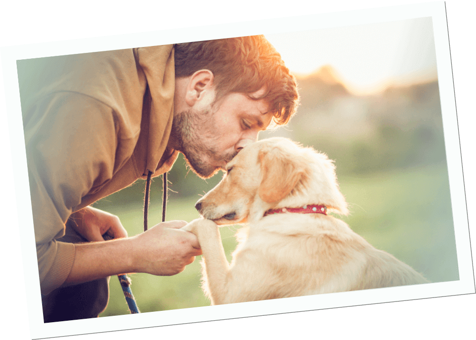 Haftpflichttipps für Hunde