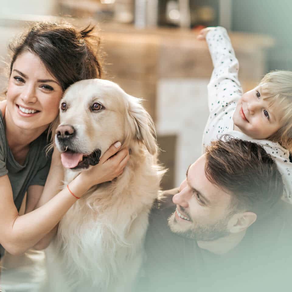 Inikua_Slider2_iStock-1097747218_Tablet