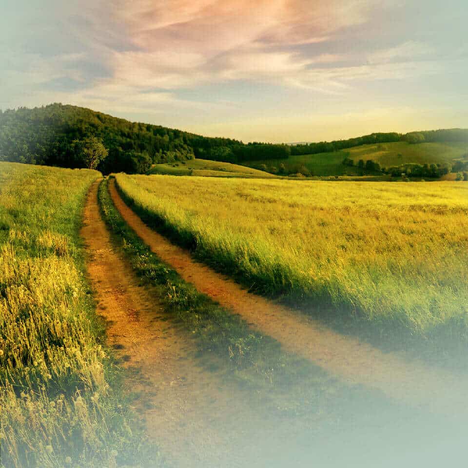 Inikua Service Beitrag