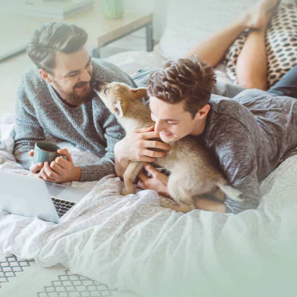 INIKUA_Hunde_Op-V_960x960