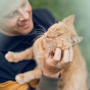 INIKUA_KV_Katze_960x960_Beitrag