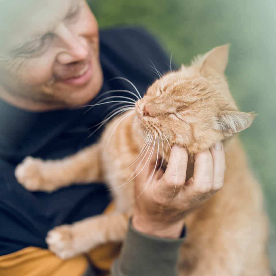 INIKUA KRANKENSCHUTZ KATZEN