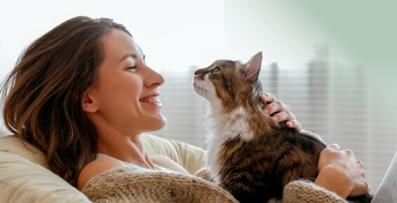 Inikua-OP-Versicherung Katzen