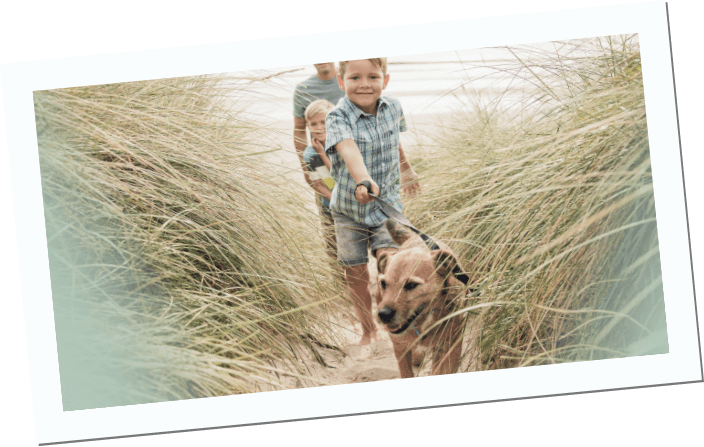 Inikua_HV_Hunde_1