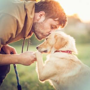 Inikua_HV_Hunde_960X960