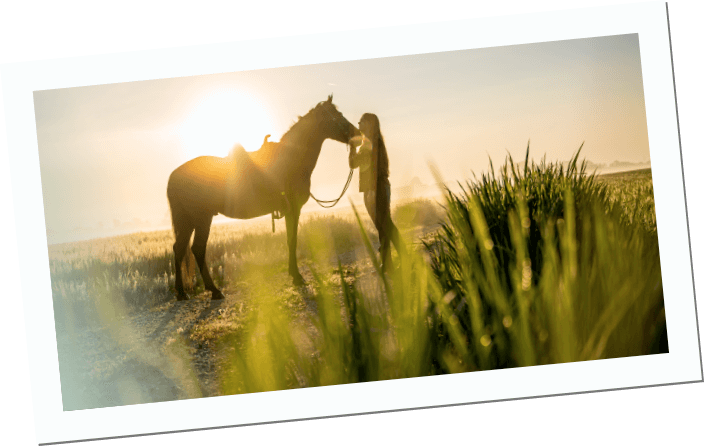 Pferde OP-Versicherung 47 Inikua OP-Versicherung Pferde