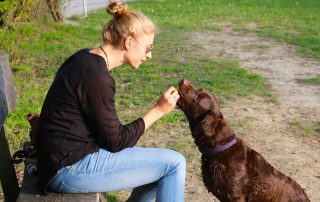 Aenderungen Hundehalter 2025