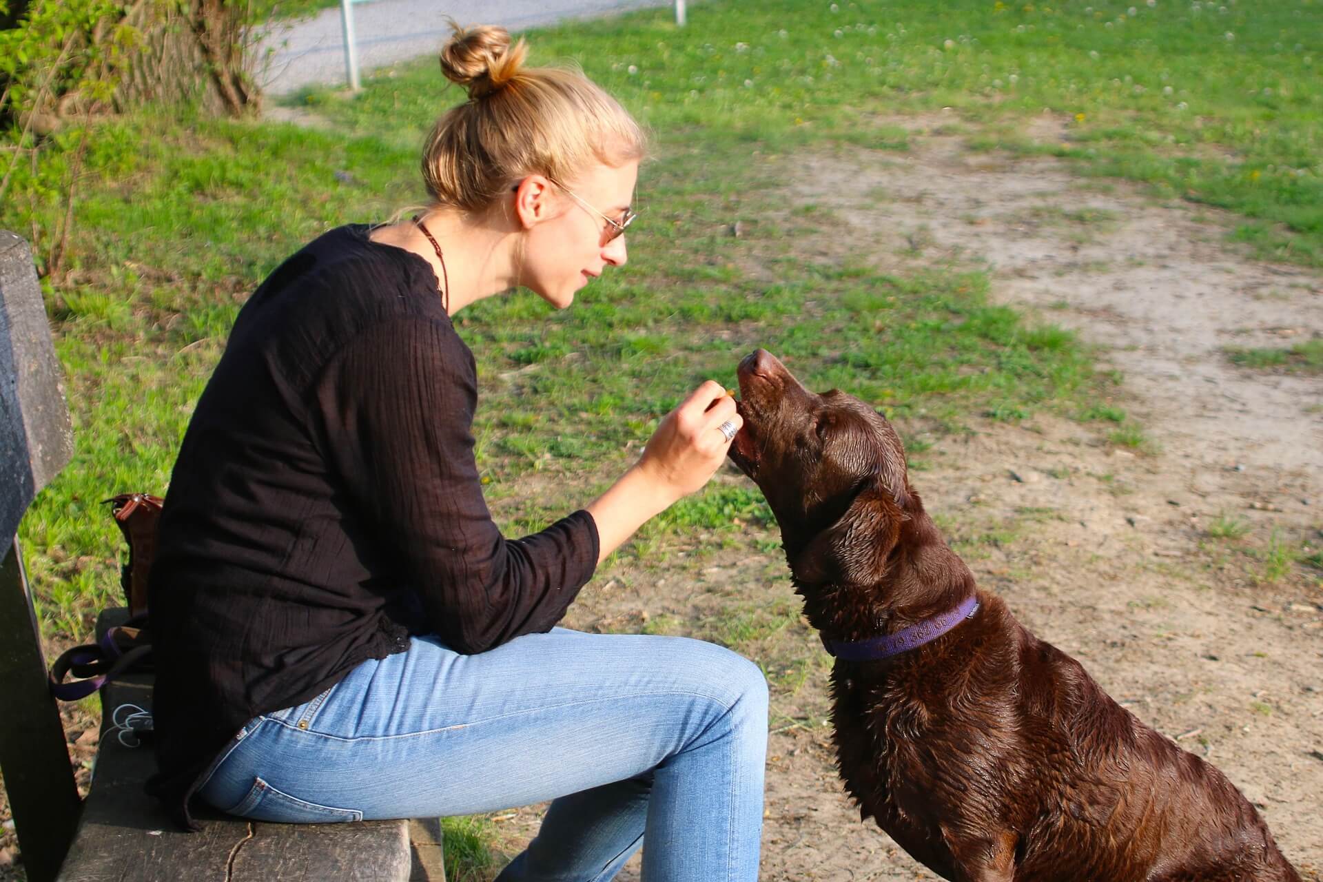 Aenderungen Hundehalter 2025